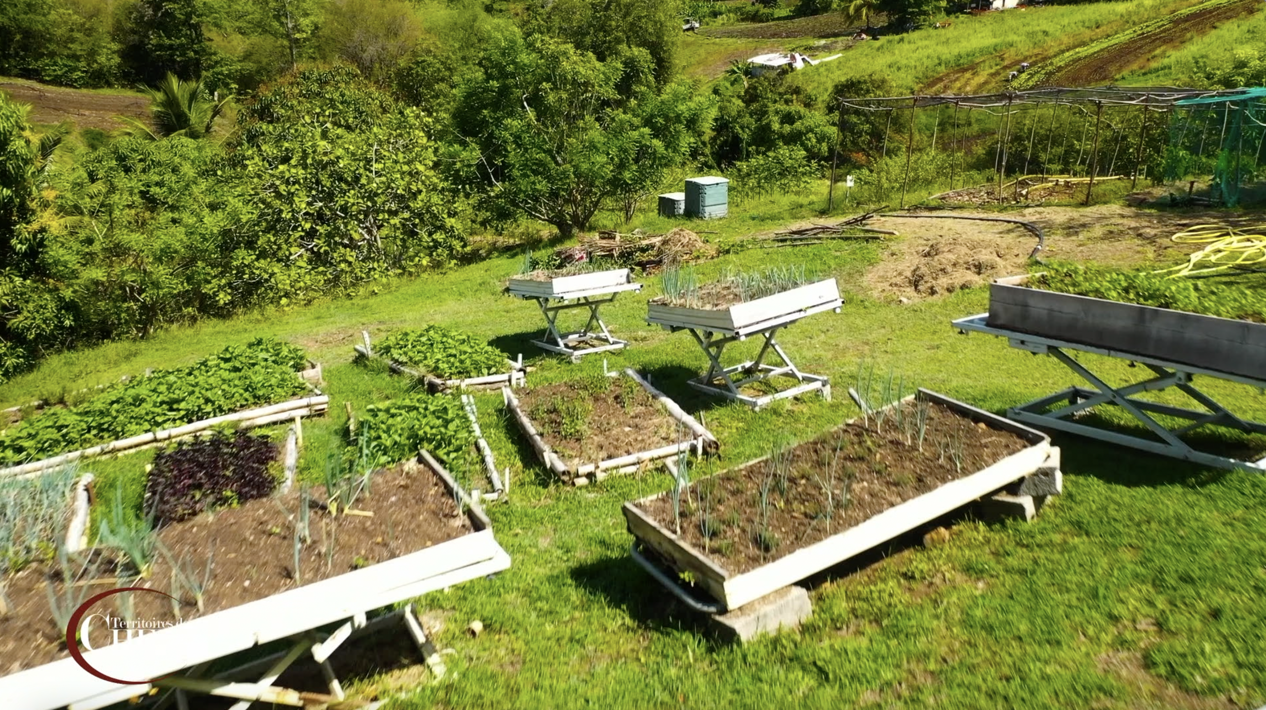 Ferme bio - Roland Anne-Marie - Martinique