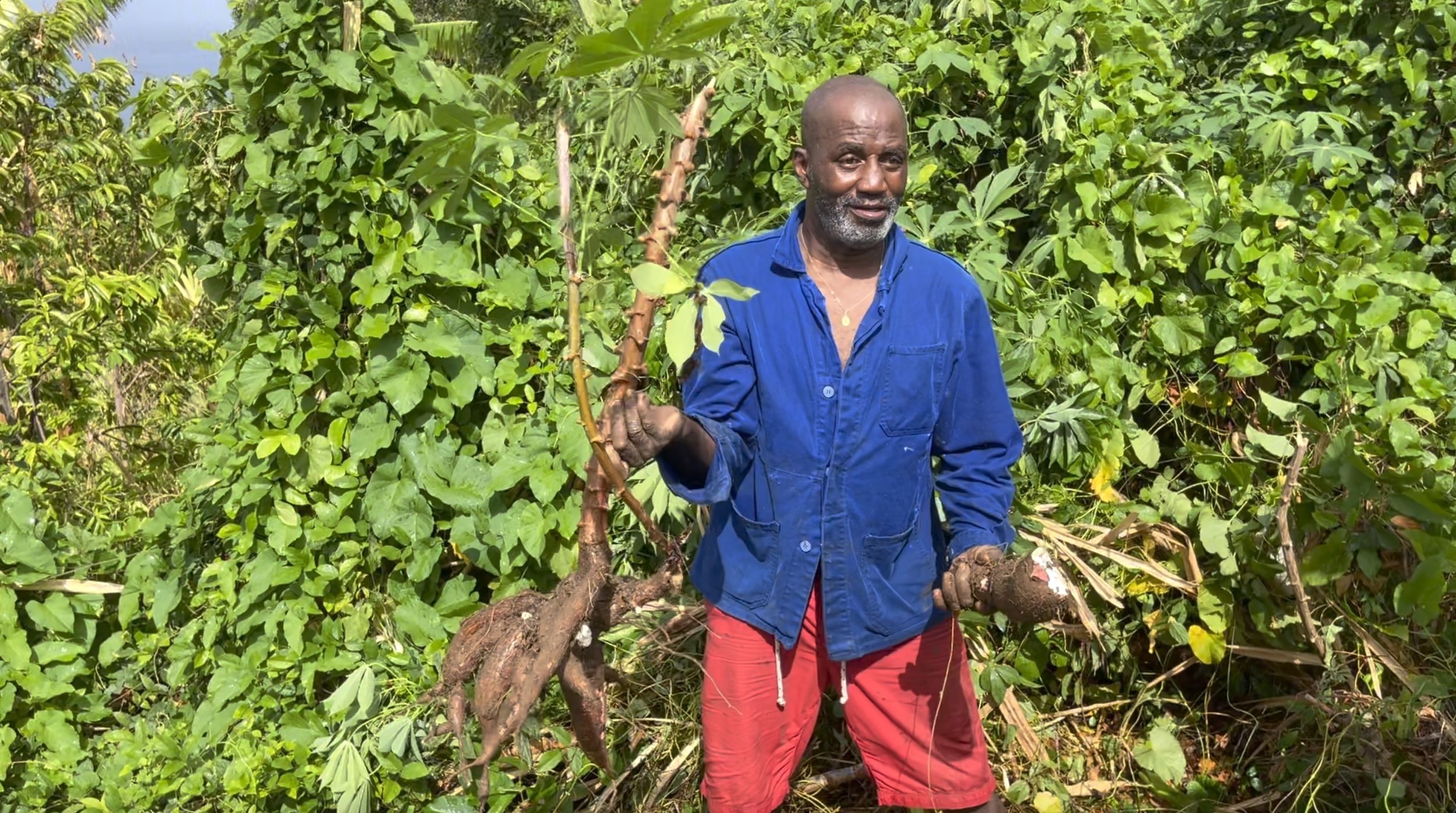 Frantz Hatil Kamanioc Guadeloupe